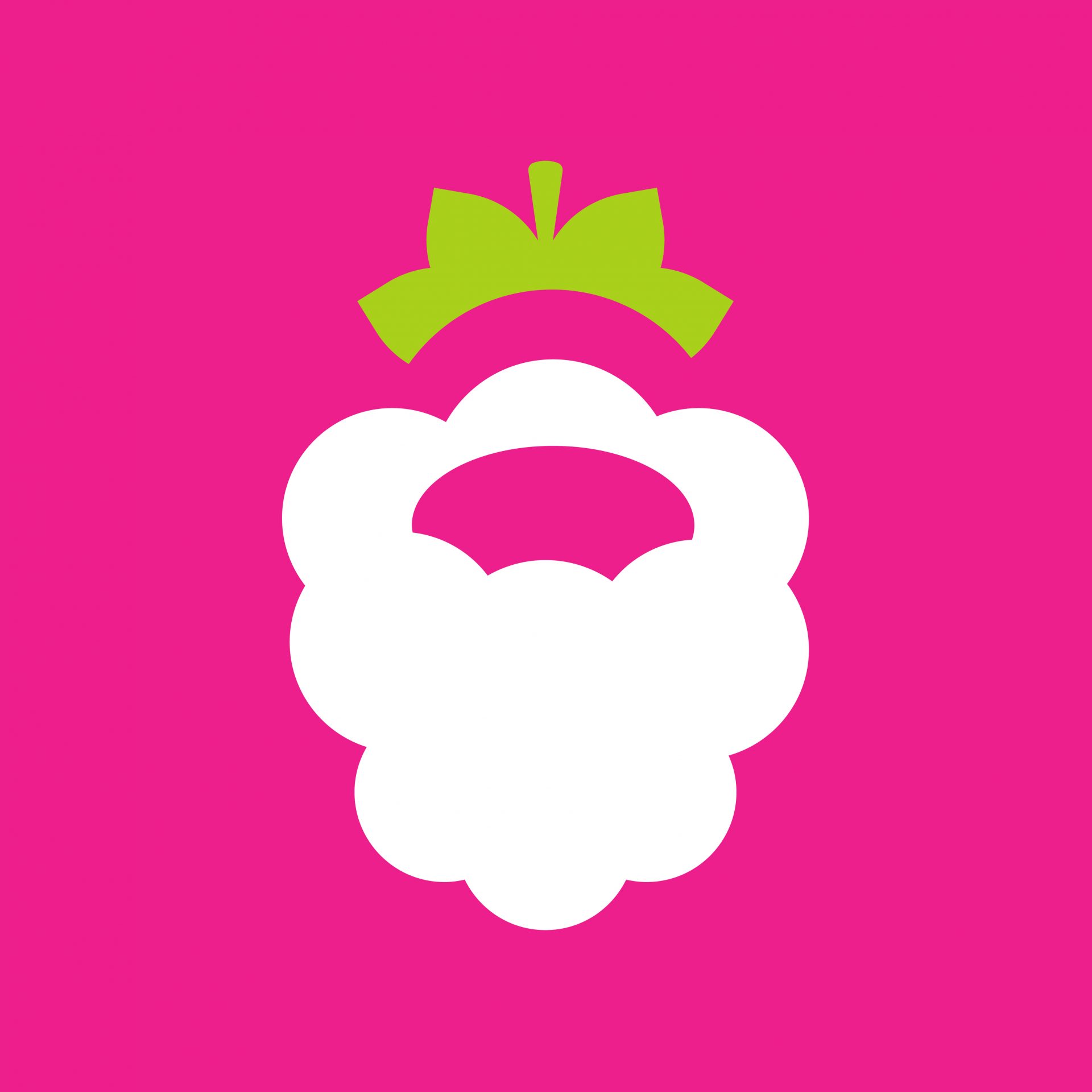 Logo design Raspberry. Minimal, clean, geometric logo design for a tech company