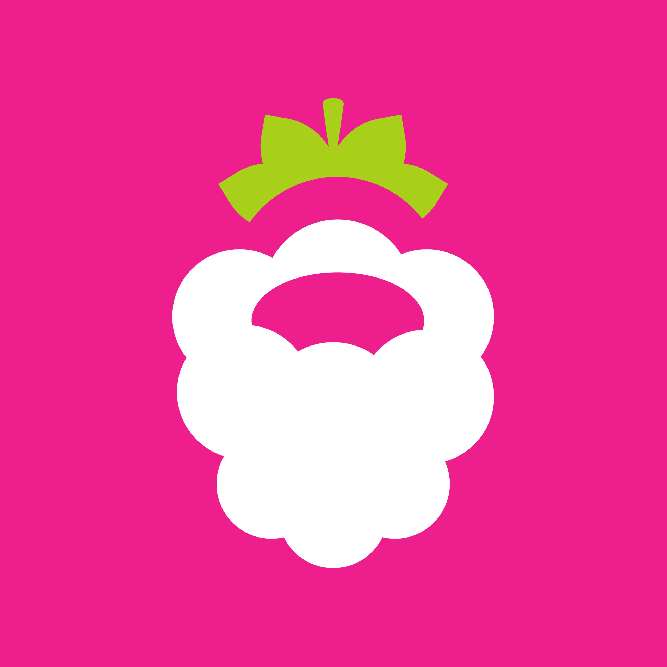 Logo design Raspberry. Minimal, clean, geometric logo design for a tech company
